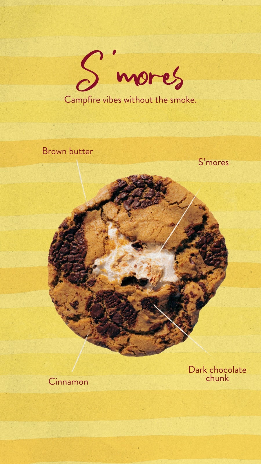 Best Seller Box 7 (8 Cookies)