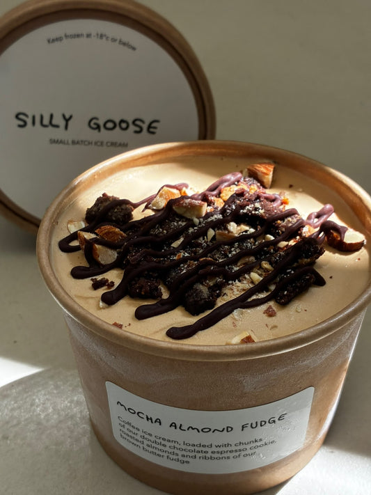 Mocha Almond Fudge Ice Cream